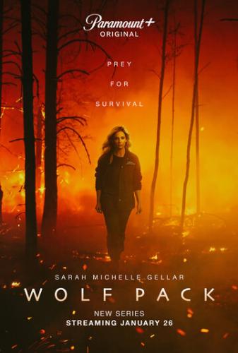 Волчья стая / Wolf Pack (2023)
